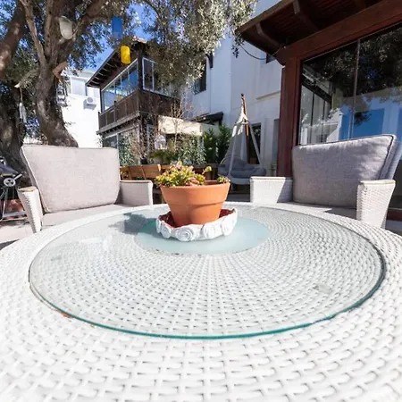 3 Bedroom Villa In Bodrum Guendogan With Private Beach Villa Bodrum